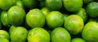 Limes